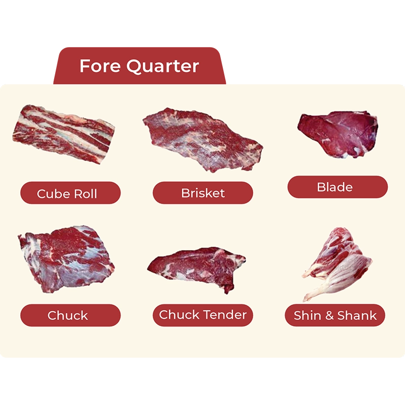 Fore Quarter portfolio illustration