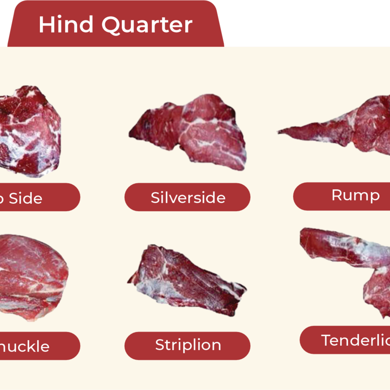 Hind Quarter